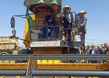 Moissons-battages à Tébessa : C’est parti !