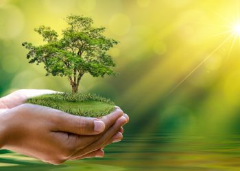 Journée mondiale de l’environnement : Un secteur relégué aux calendes grecques