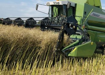 Guelma : Installation de la commission technique des catastrophes agricoles