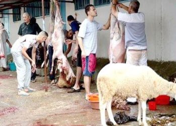 Aïd El Adha à Annaba  : Des dispositions pour garantir les conditions d’hygiène