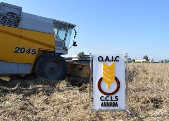 Lancement de la campagne moisson-battage : Dédommagements et prévisions peu optimistes