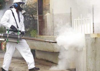 La démoustication négligée à Annaba : Un été difficile en perspective 