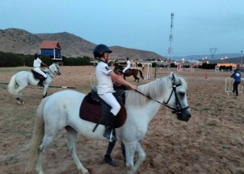 Concours régional de saut d’obstacles : La relance du sport équestre à Batna