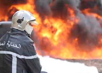 Plan de lutte contre les feux de forêt à OUM EL-BOUAGHI : 52 commissions de proximité pour les riverains des massifs montagneux