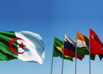 Adhésion de l’Algérie aux BRICS : Pour qui roulent les «experts» sur Facebook ?