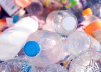 Collecte et recyclage du plastique : Un défi pour l’environnement et les acteurs légaux