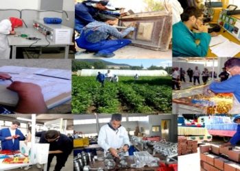 Formation professionnelle à Constantine : Comment absorber le flux des candidats ?