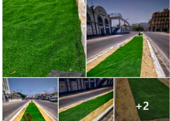 Pose de gazon artificiel : La toile locale s’enflamme