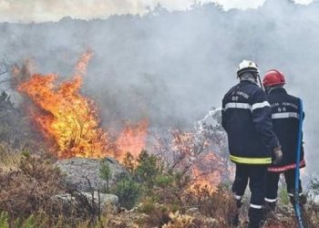 CONSERVATION DES FORETS D’OUM EL BOUAGHI : 31 points d’eau pour alimenter le parc roulant