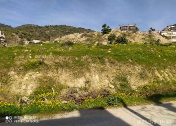 Atteintes au domaine forestier à El Bouni : Plusieurs parcelles et autres terres boisées squattées