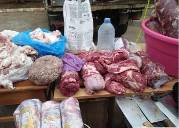 Ils étaient destinés aux commerces : Plus de 100 kg d’abats surgelés saisis