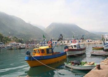 Secteur de la pêche à Jijel : Enfin, une oreille attentive !