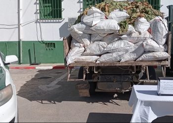 Tabac, Chemma, psychotropes… : La contrebande bat son plein à Batna