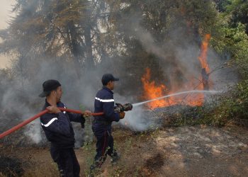  Incendies à JIJEL : Aucun répit pour la wilaya !