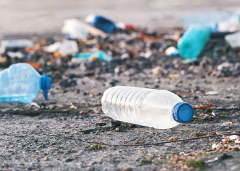 Le plastique à Annaba : Un environnement en péril 