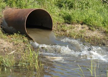 ADE D’AIN BEIDA : Déperdition de l’eau potable dans les égouts