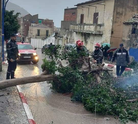 Prévention des conséquences des intempéries : Dispositif de sécurité renforcé à Skikda 