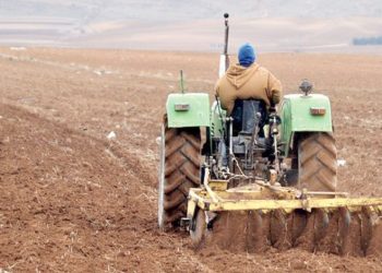 Bordj Bou-Arréridj : Pour une campagne labours-semailles réussie
