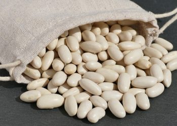Pour stabiliser le marché local : La CCLS livre 500 q de haricots blancs