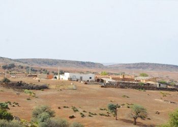 Zones d’ombre de Tébessa : Une commission de travail à pied d’oeuvre