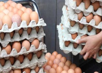Déclarés impropres à la consommation : Saisie d’importantes quantités de viandes et d’œufs