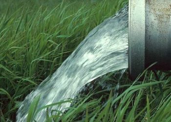 Irrigation avec des eaux usées : 5 personnes interpellées à Ras El Oued