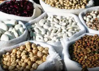 Après des analyses phytosanitaires concluantes : 9.348 T de légumes secs déchargés au port d’Annaba