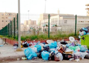 ENVIRONNEMENT A OUM EL-BOUAGHI : Les espaces verts envahis par les déchets