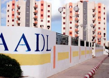 Logements sociaux et AADL : Le dossier passé au peigne fin