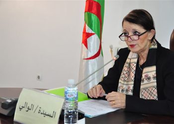 Planification des projets de développement à SKIKDA : Les programmes de financement de l’Etat en débat