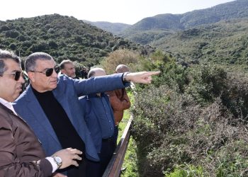 Séraidi prépare la saison estivale : Réhabilitation des plages et modernisation des infrastructures