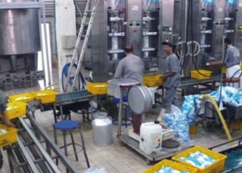 Laiterie l’Edough : Augmentation de la production laitière