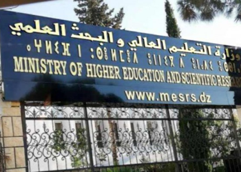 Titulaires de doctorat et de magister en quête d’équité : Appel à des opportunités professionnelles