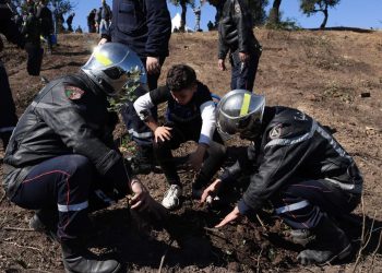 Journée internationale des forêts : «Les forêts et l’innovation … pour un monde meilleur»