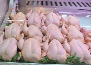 L’ONAB répond à une demande pressante : Affluence pour la viande blanche à prix abordables