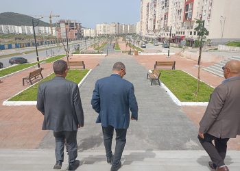 Visite d’inspection à la nouvelle ville : Un regard scrutateur sur les projets de développement