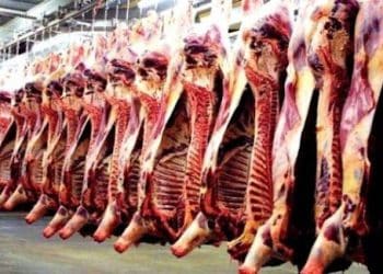 Régulation des prix de la viande ovine : Arrivée imminente de 2000 têtes d’ovins