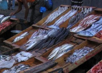 Pour des prix plus abordables : Deux points de vente de poissons ouverts