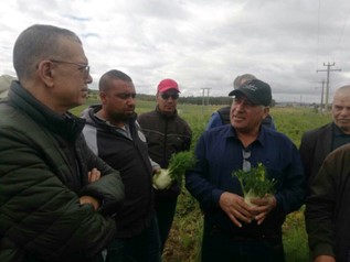 Sortie initiée par la DCP : Une action concertée pour la qualité des produits agricoles