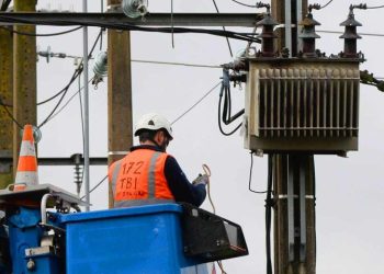 Sonelgaz améliore son réseau électrique : Installation de nouveaux équipements