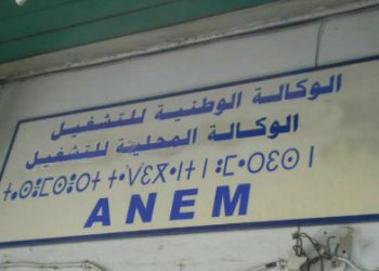 L’ANEM de Biskra : Une gestion défaillante dévoilée