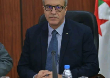 Fluctuations du réseau mobile et Internet à Annaba : Un député interpelle le ministre de tutelle
