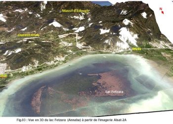 Zone humide Lac Fetzara : Retard de classement et menaces environnementales