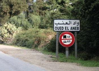 Développement à Oued El Aneb : 18 projets pour 30 milliards de cts