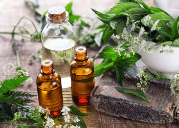 Distillation d’huiles essentielles et médicinales à Séraidi : Les jeunes invités à s’investir dans ce domaine