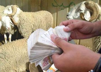 Le Mouton de l’Aïd… : Une tradition devenue inaccessible pour les Biskris