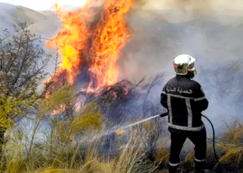 Prévention des incendies des forêts : Renforcement des mesures de surveillance