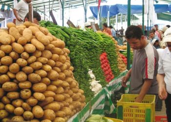 Après une flambée des prix des légumes à la veille de l’Aïd : La mercuriale reprend son cours normal !