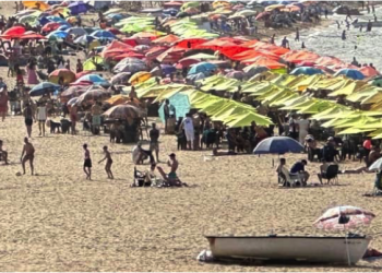 Services inadéquats à la plage Djenen El Bey : Le maire dit «Stop»