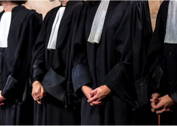 Cour d’Annaba : 141 nouveaux avocats prêtent serment